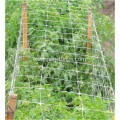 Vegetables/flowers plant support net